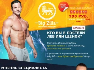 Скриншот главной страницы сайта big-zilla.com
