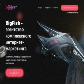 Скриншот главной страницы сайта bigfishdigital.ru