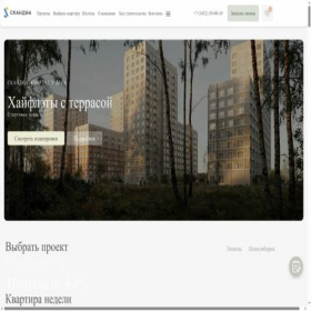 Скриншот главной страницы сайта bigflats.scandia.life