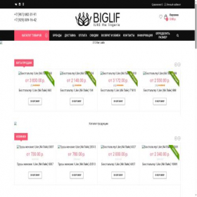 Скриншот главной страницы сайта biglif.ru