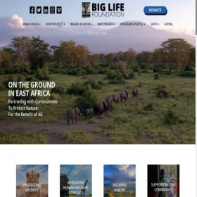 Скриншот главной страницы сайта biglife.org