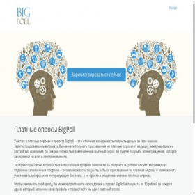 Скриншот главной страницы сайта bigpoll.ru