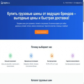 Скриншот главной страницы сайта bigshin.ru