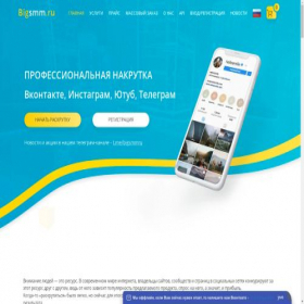 Скриншот главной страницы сайта bigsmm.ru