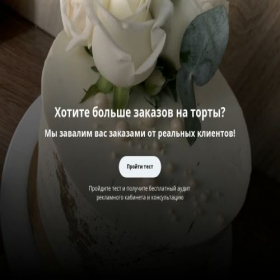 Скриншот главной страницы сайта bigxil.ru