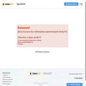 Скриншот главной страницы сайта bigzarabotok.goodly.pro