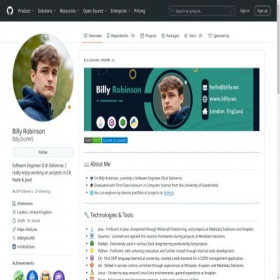 Скриншот главной страницы сайта billy.ws