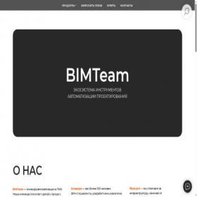 Скриншот главной страницы сайта bimteam.ru