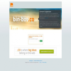 Скриншот главной страницы сайта bin-bot.co