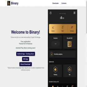 Скриншот главной страницы сайта binary-wallet.com