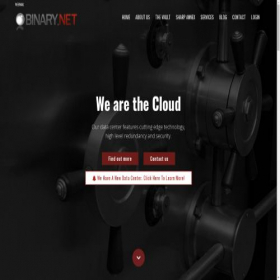 Скриншот главной страницы сайта binary.net