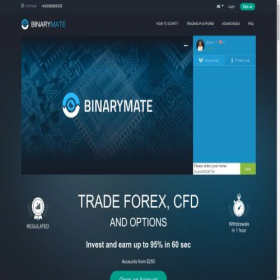 Скриншот главной страницы сайта binarymate.com