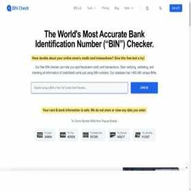 Скриншот главной страницы сайта bincheck.io