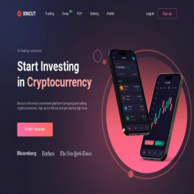 Скриншот главной страницы сайта bincut.net
