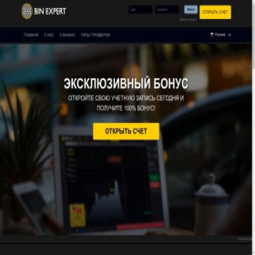 Скриншот главной страницы сайта binexpert.net