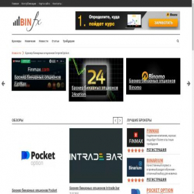 Скриншот главной страницы сайта binfx.ru
