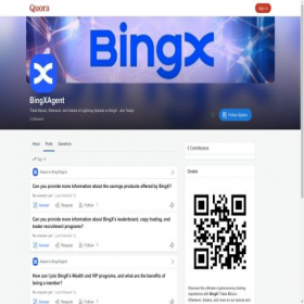 Скриншот главной страницы сайта bingxagent.quora.com