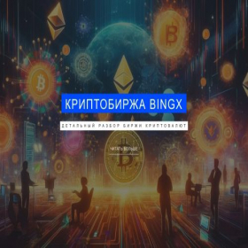 Скриншот главной страницы сайта bingxedu.ru