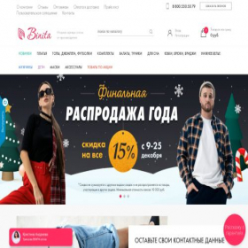 Скриншот главной страницы сайта binita.ru