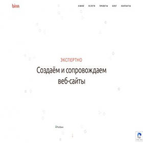 Скриншот главной страницы сайта binn.ru