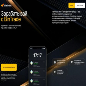 Скриншот главной страницы сайта bintrade-partners.ru