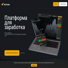 Скриншот главной страницы сайта bintrade.club