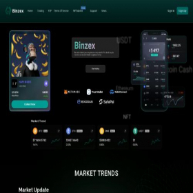Скриншот главной страницы сайта binzex.com