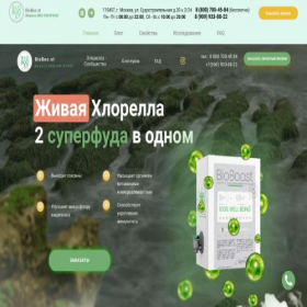 Скриншот главной страницы сайта bioboo.st