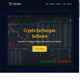 Скриншот главной страницы сайта birake.com