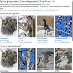 Скриншот главной страницы сайта birds.kz