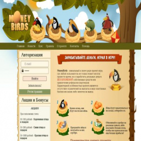Скриншот главной страницы сайта birdsmoney.ru