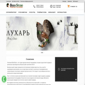 Скриншот главной страницы сайта birdsstudio.ru