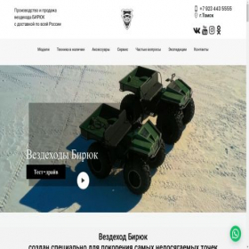 Скриншот главной страницы сайта biriuk.ru