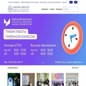 Скриншот главной страницы сайта birsk.ru