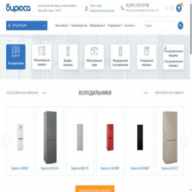 Скриншот главной страницы сайта biryusa.shop