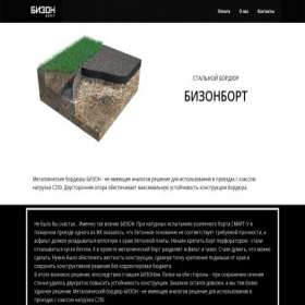 Скриншот главной страницы сайта bisonbort.ru