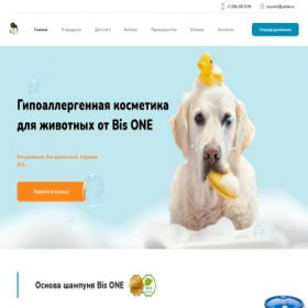 Скриншот главной страницы сайта bisone1.ru