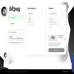 Скриншот главной страницы сайта bit-pay.exchange