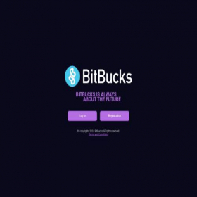 Скриншот главной страницы сайта bitbucks.tech