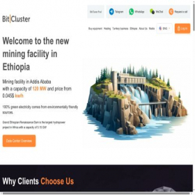 Скриншот главной страницы сайта bitcluster.ru