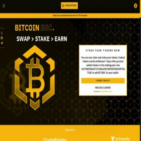 Скриншот главной страницы сайта bitcoinbsc.io