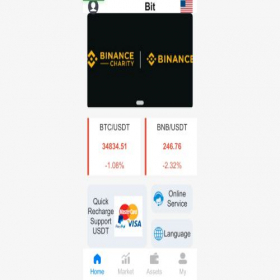 Скриншот главной страницы сайта bitcoinsss.org