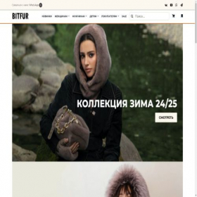 Скриншот главной страницы сайта bitfur.ru