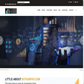 Скриншот главной страницы сайта bithubpay.com