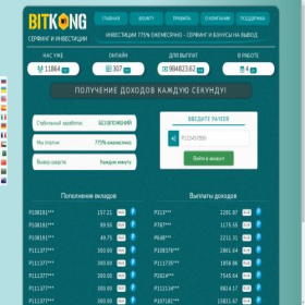 Скриншот главной страницы сайта bitkong.site