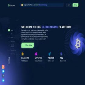 Скриншот главной страницы сайта bitloom.cc