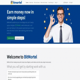 Скриншот главной страницы сайта bitmortel.com