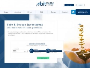 Скриншот главной страницы сайта bitnutty.cc