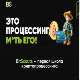 Скриншот главной страницы сайта bitscouts.ru