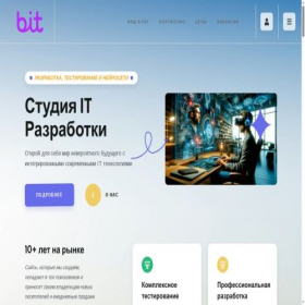 Скриншот главной страницы сайта bitsistem.ru